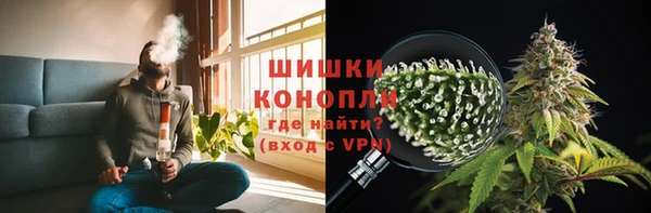 амф Богородицк