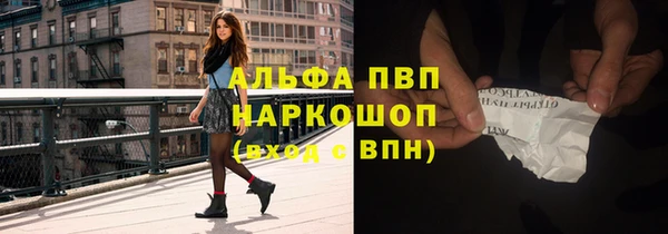 тгк Богданович