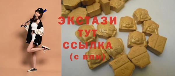 амф Богородицк