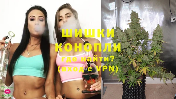 тгк Богданович