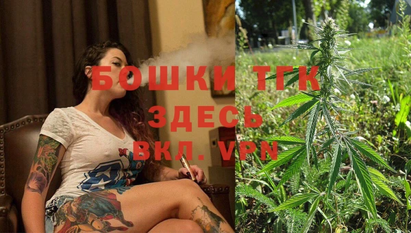 тгк Богданович