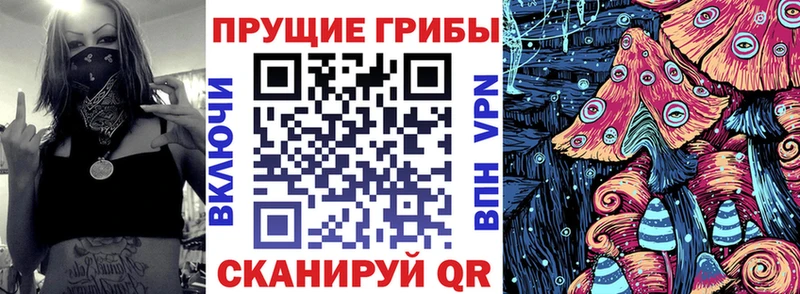 мега рабочий сайт Тула Галлюциногенные грибы прущие грибы купить закладку